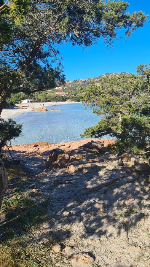 La Coccinella Leilighet Olbia Eksteriør bilde